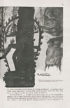 Das Magazin Heft Nr. 17 1926