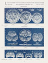 Porzellan-Manufaktur Meissen Katalog 1953